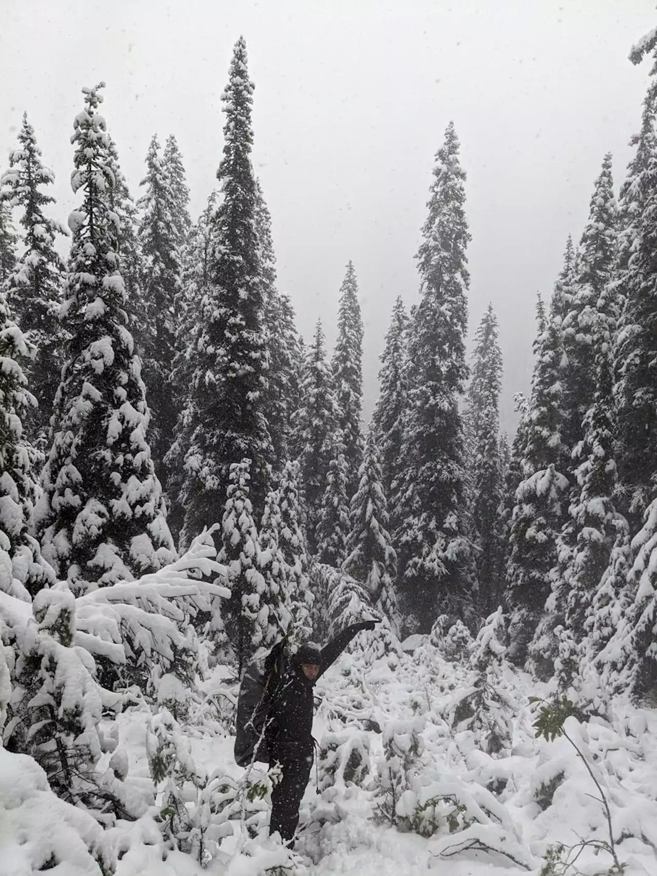 'Belly of the shadow of death': Hikers recount 7-hour trek in Jasper snowstorm