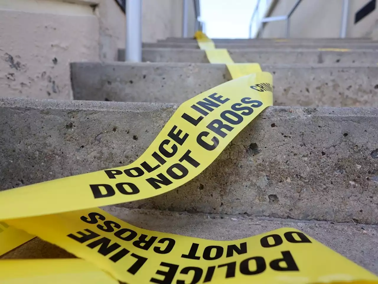 OPS ANNUAL REPORT: Violent crime, theft and traffic fatalities increased in 2022