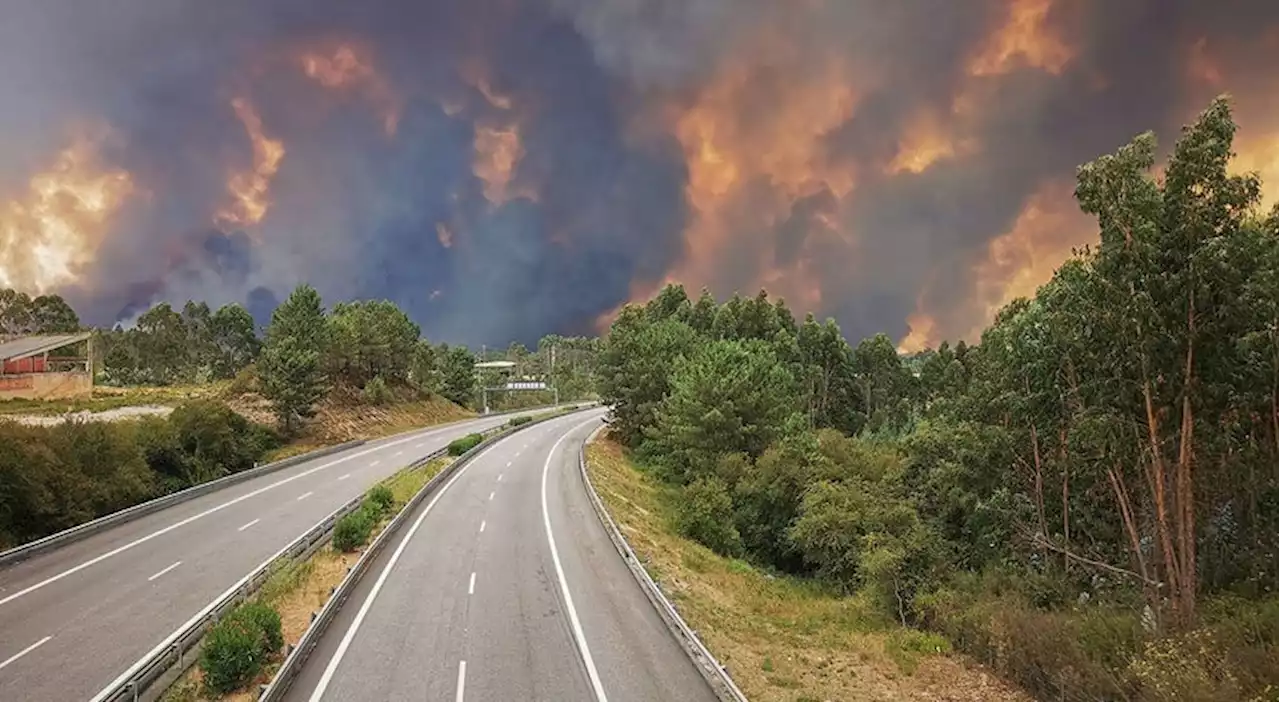 Cinco concelhos de Santarém e Faro em perigo máximo de incêndio