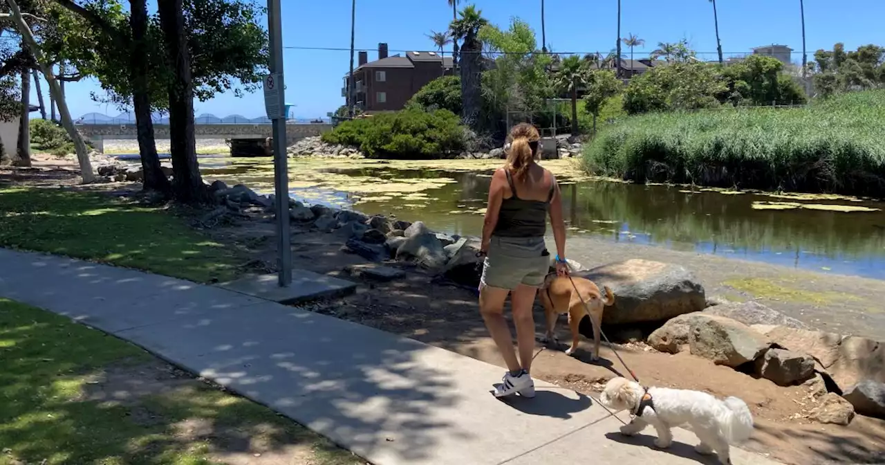 Coastal Commission approves Oceanside wetlands restoration