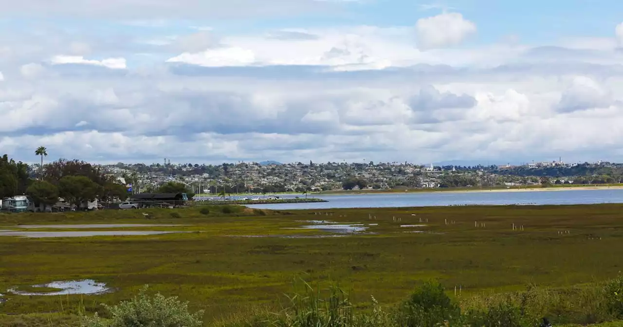 Opinion: Reduced access will be good for the environment of Mission Bay