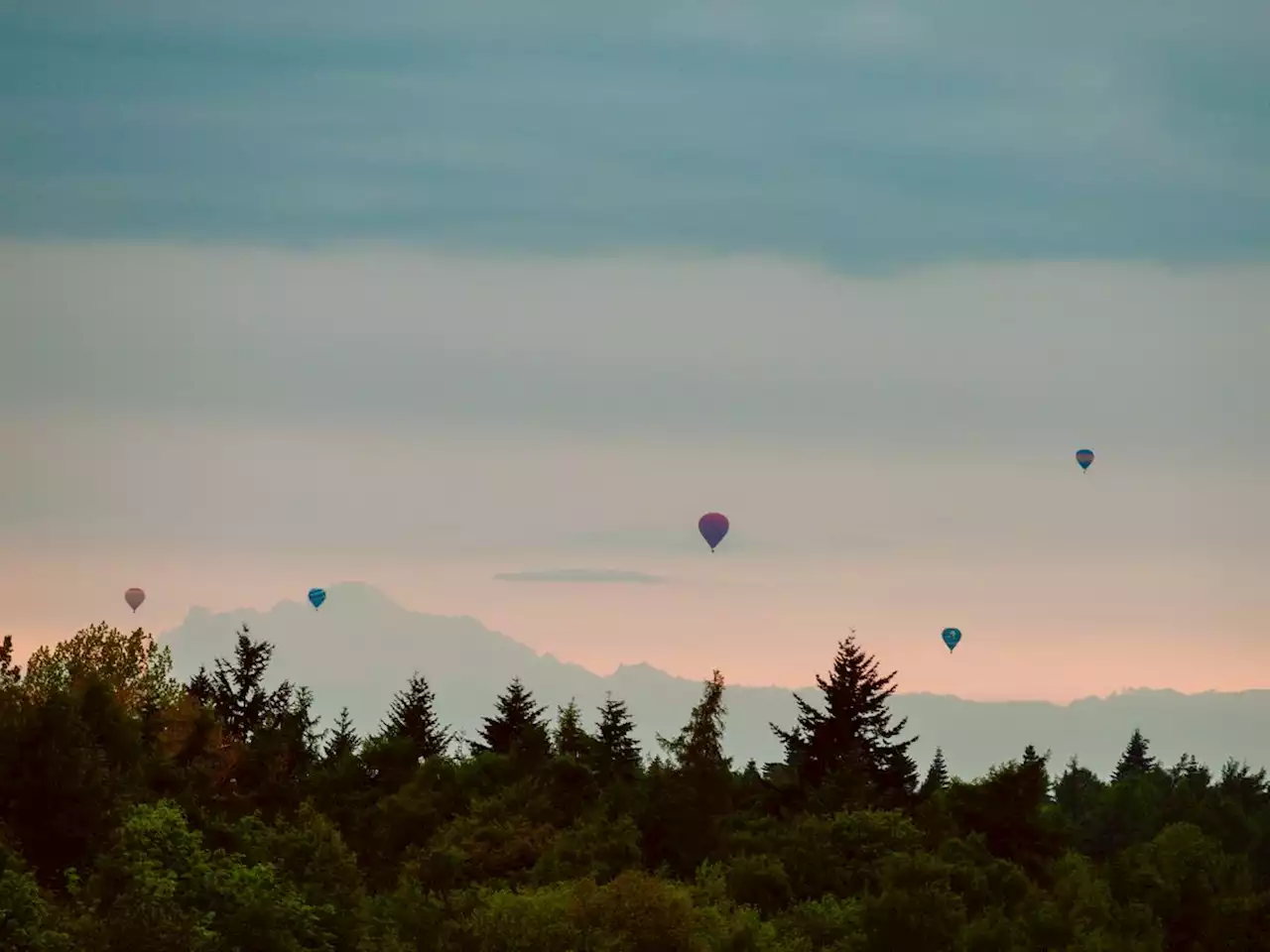 Man dies after hot air balloon plummets to ground and crashes into trees