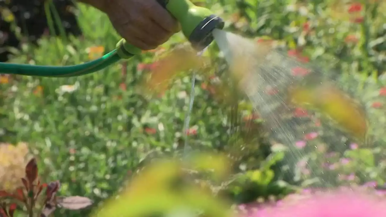 Sussex homeowners hit with hosepipe ban call for harsher punishment for failing water firms