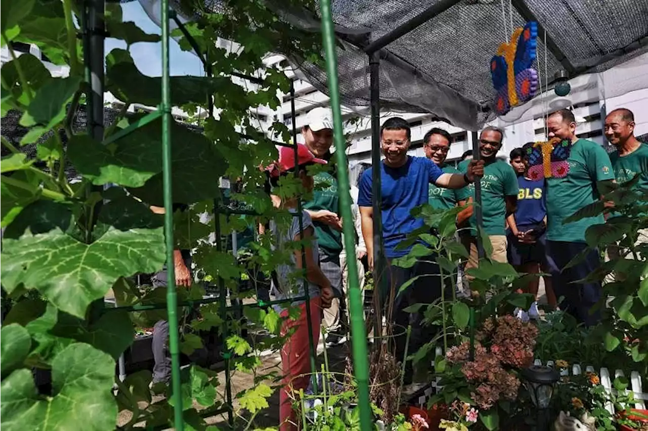 Residents turn community farmers in Jurong’s first rooftop allotment garden at HDB carpark