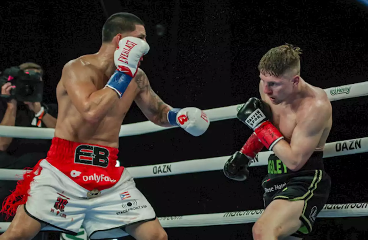 Quigley loses on points to Berlanga at Madison Square Garden