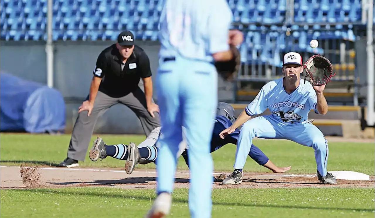 Bells defeat HarbourCats again