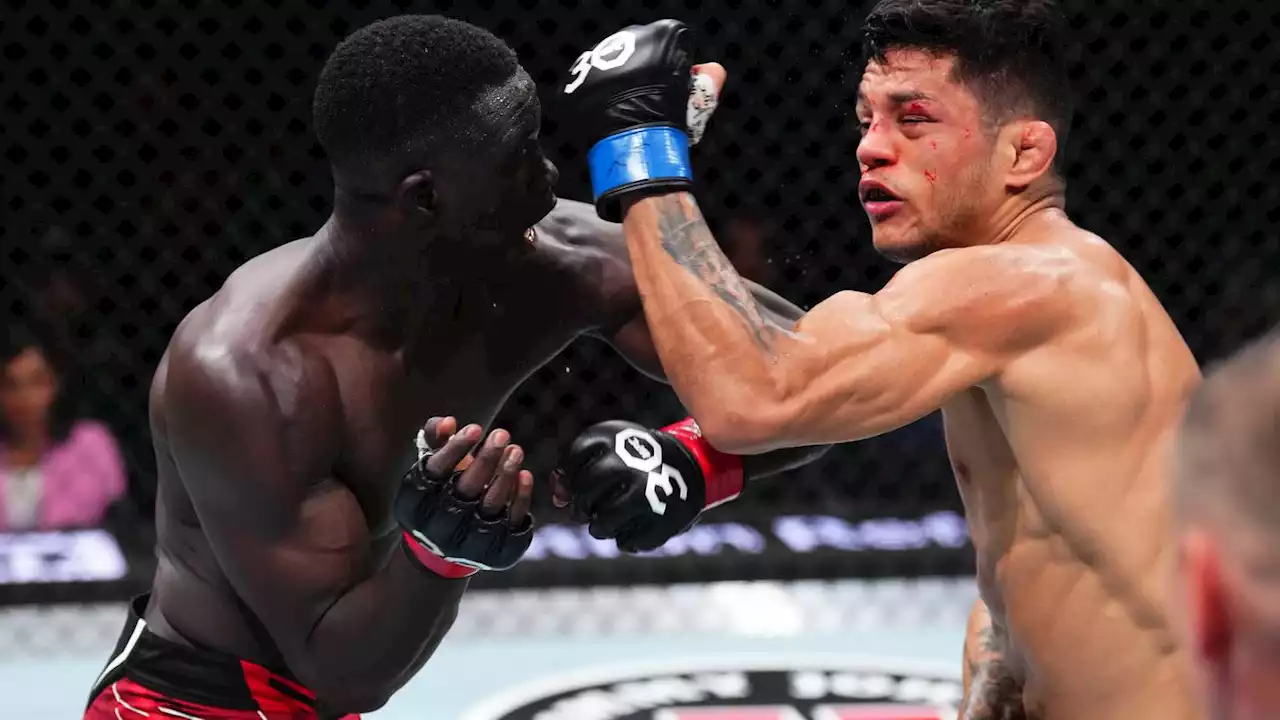 'Highlight for the ages': David Onama viciously knocks out Gabriel Santos at UFC Jacksonville