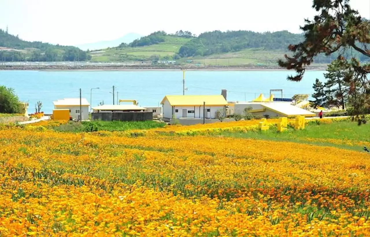 인구소멸 '위기의 작은 섬들'…신안군의 선택은 | 연합뉴스