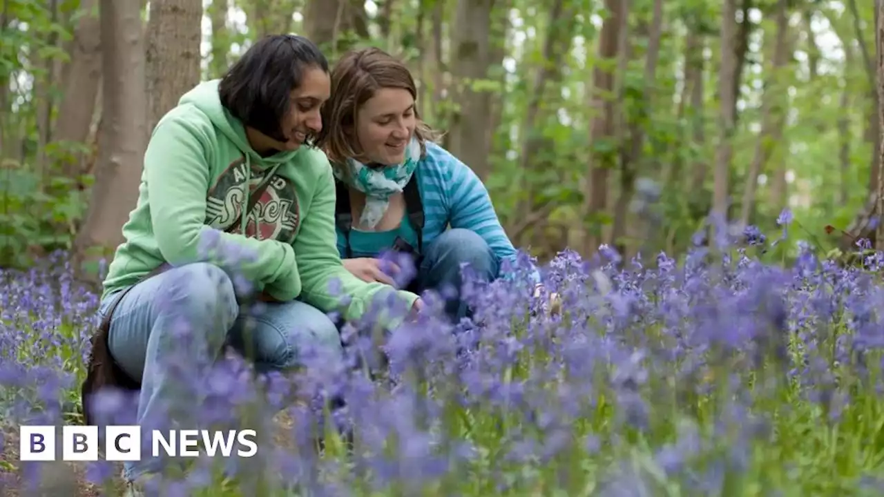 Environmental fund to train hundreds of young people in West Midlands