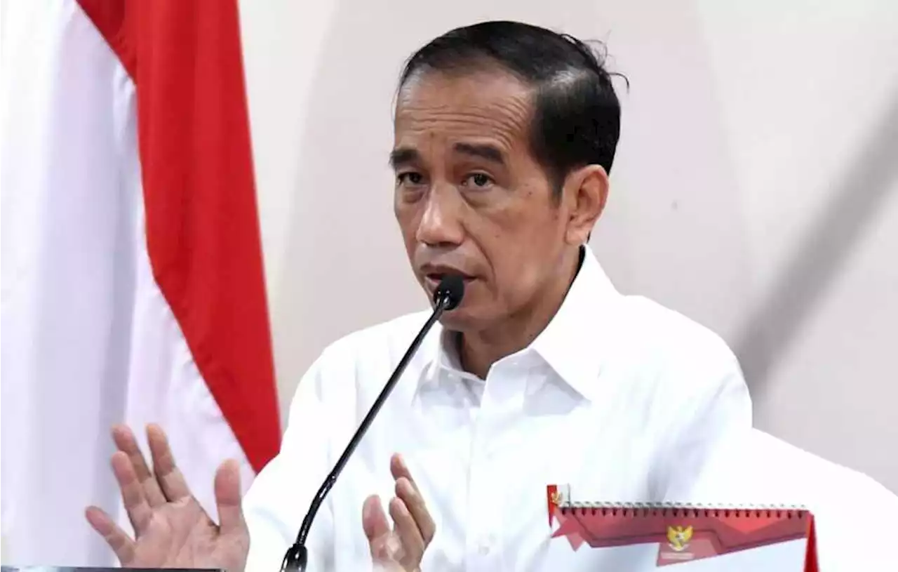 Jokowi: Tembus Rp 50.000, Harga Daging Ayam Kemahalan