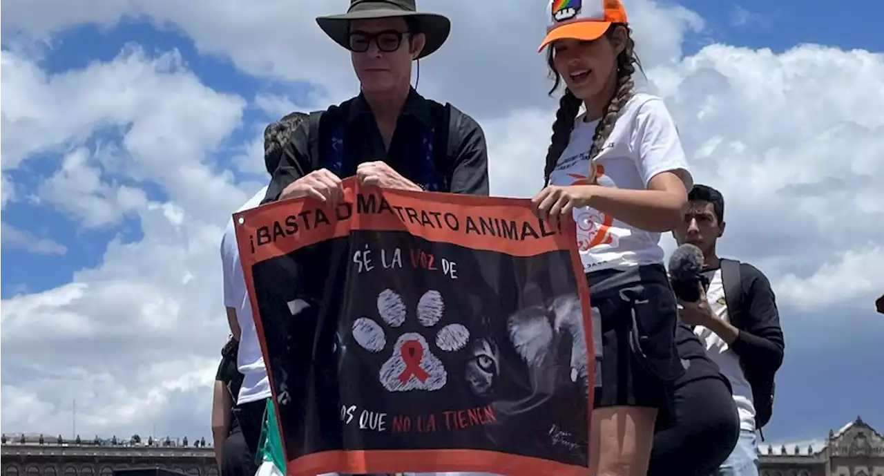 Famosos se unen para protestar por los derechos de los animales