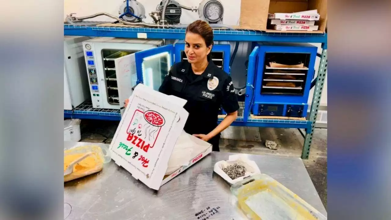 Los Angeles police raid drug 'super lab' disguised as pizzeria: 'This takes the pie'