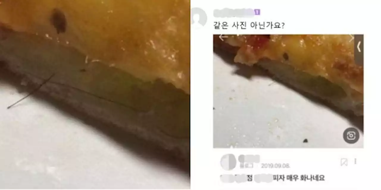 '피자에서 머리카락 나와'…4년 전 같은 사진 찾아낸 네티즌 수사대