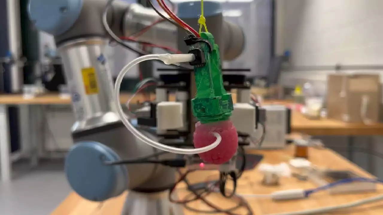 Scientists train fruit-picking robots with silicon raspberries