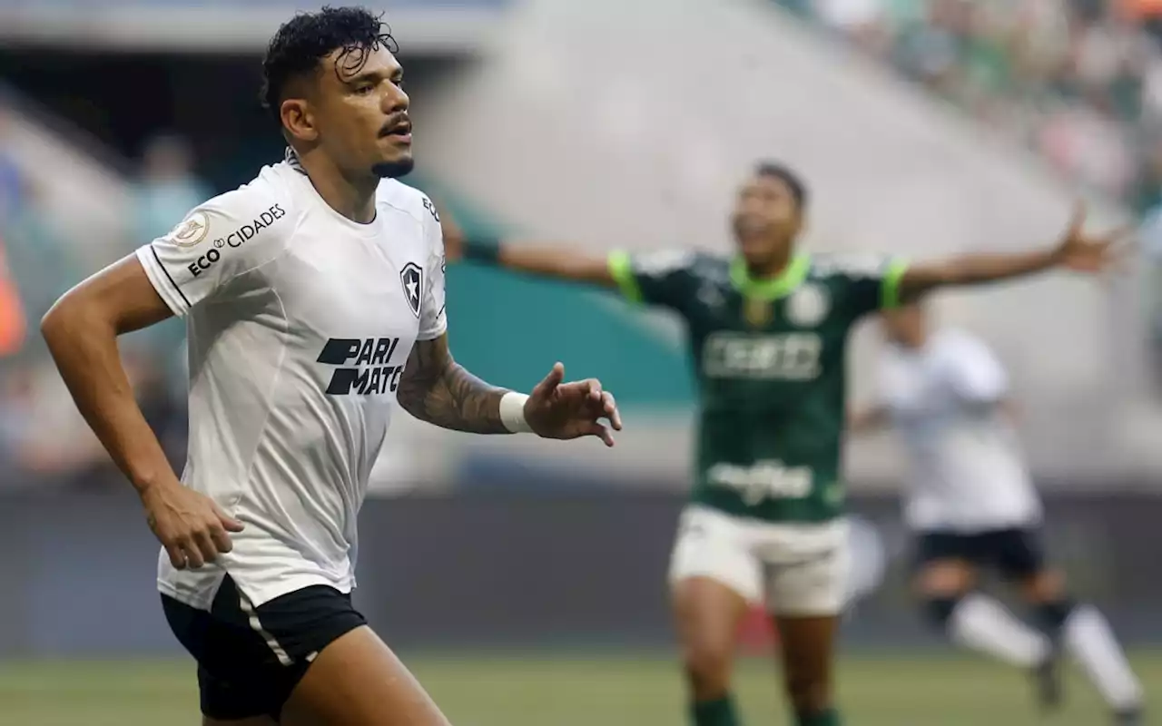 Tiquinho exalta atuação do Botafogo em vitória sobre o Palmeiras: ‘Fizemos por merecer’ | Botafogo | O Dia