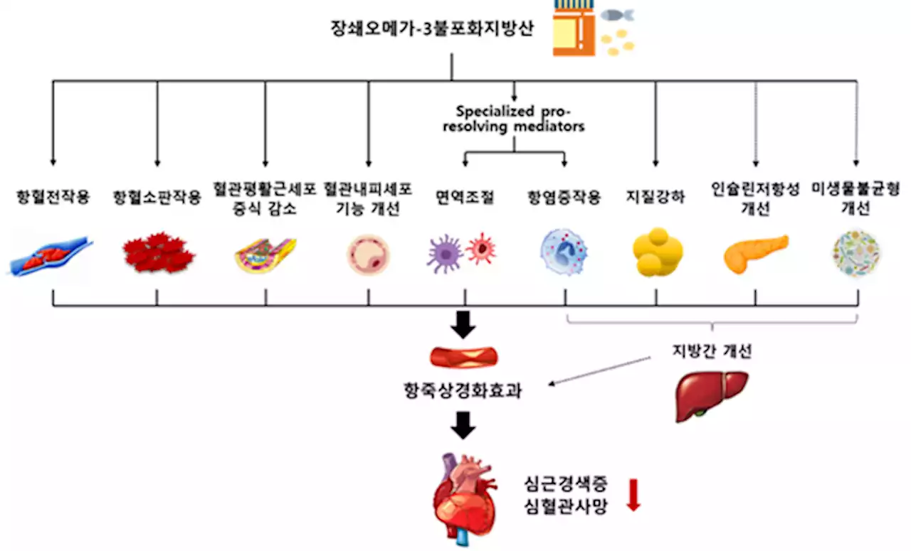 오메가3, 마냥 좋은 줄 알았는데 ‘이 질환’ 위험성 높인다?