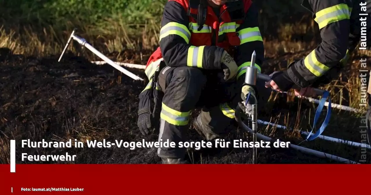 Flurbrand in Wels-Vogelweide sorgte für Einsatz der Feuerwehr | laumat|at