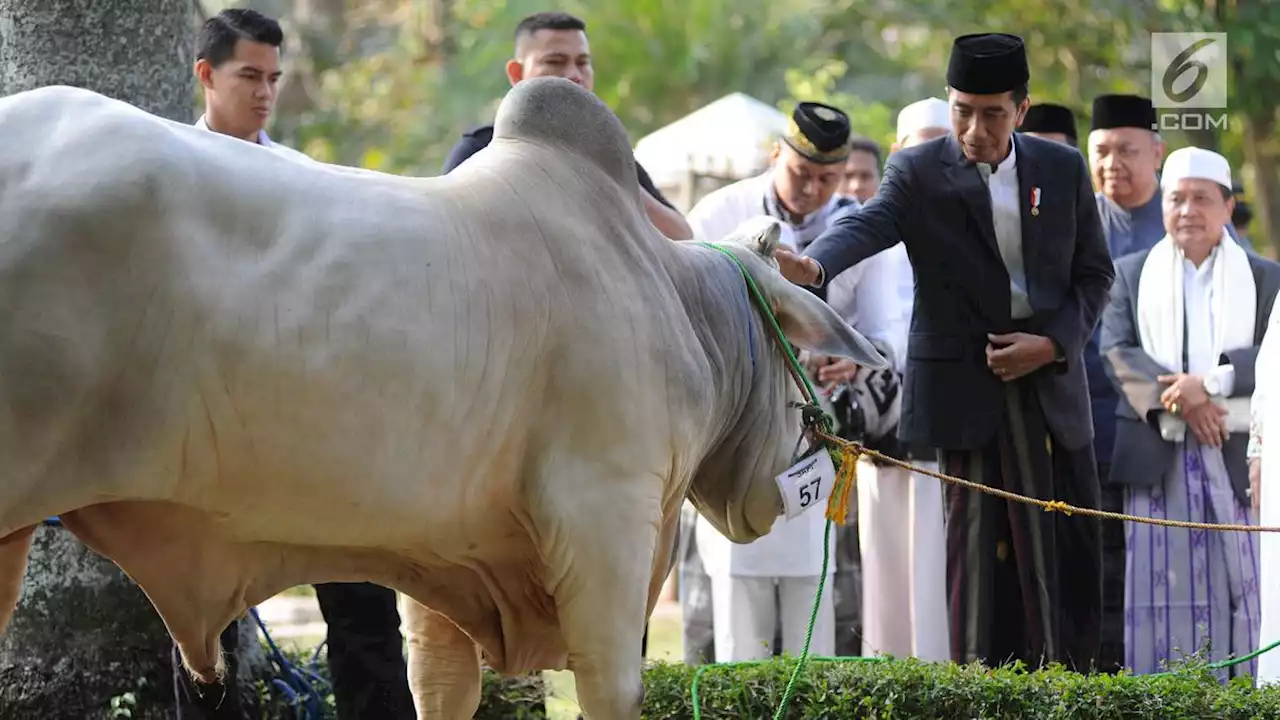 Jokowi Akan Rayakan Idul Adha 2023 di Yogyakarta