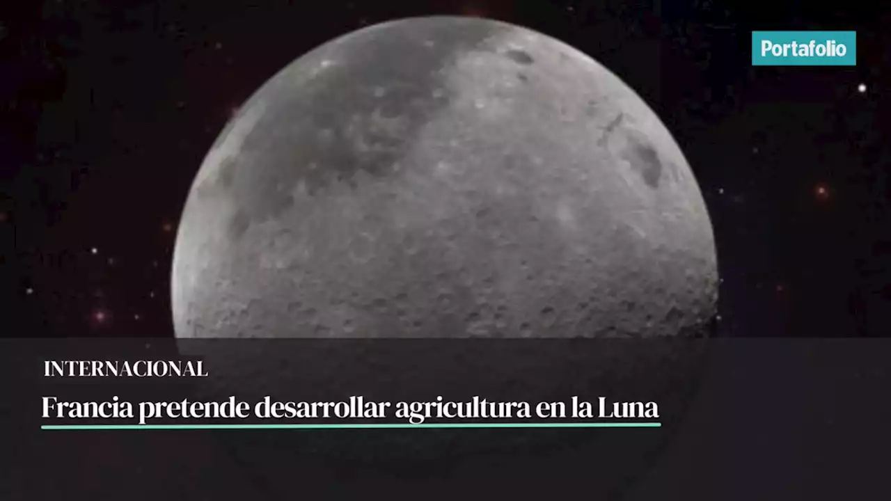 El plan de la agencia espacial de Francia para hacer agricultura lunar