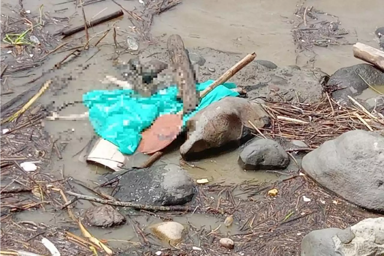 Pescadores en Tolima hallaron cuerpo que sería de joven bogotano perdido en río Magdalena - Pulzo