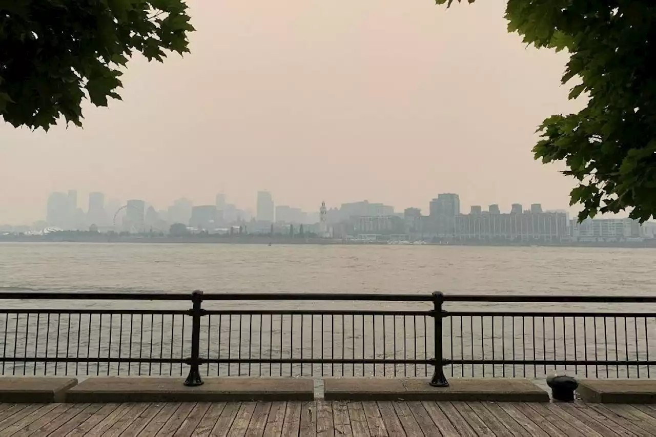 Montreal has worst air of any major city as wildfires rage – monitor