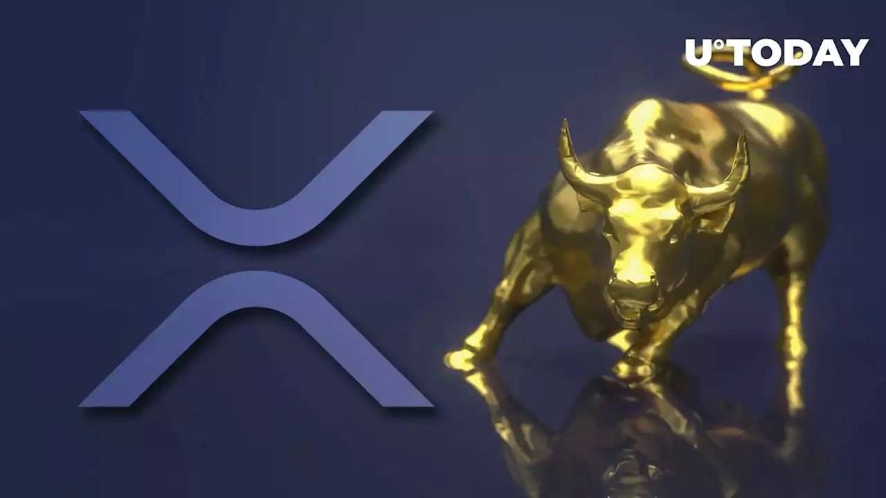 XRP Flashes Bullish Case for Growth Amid Market Downturn: Details