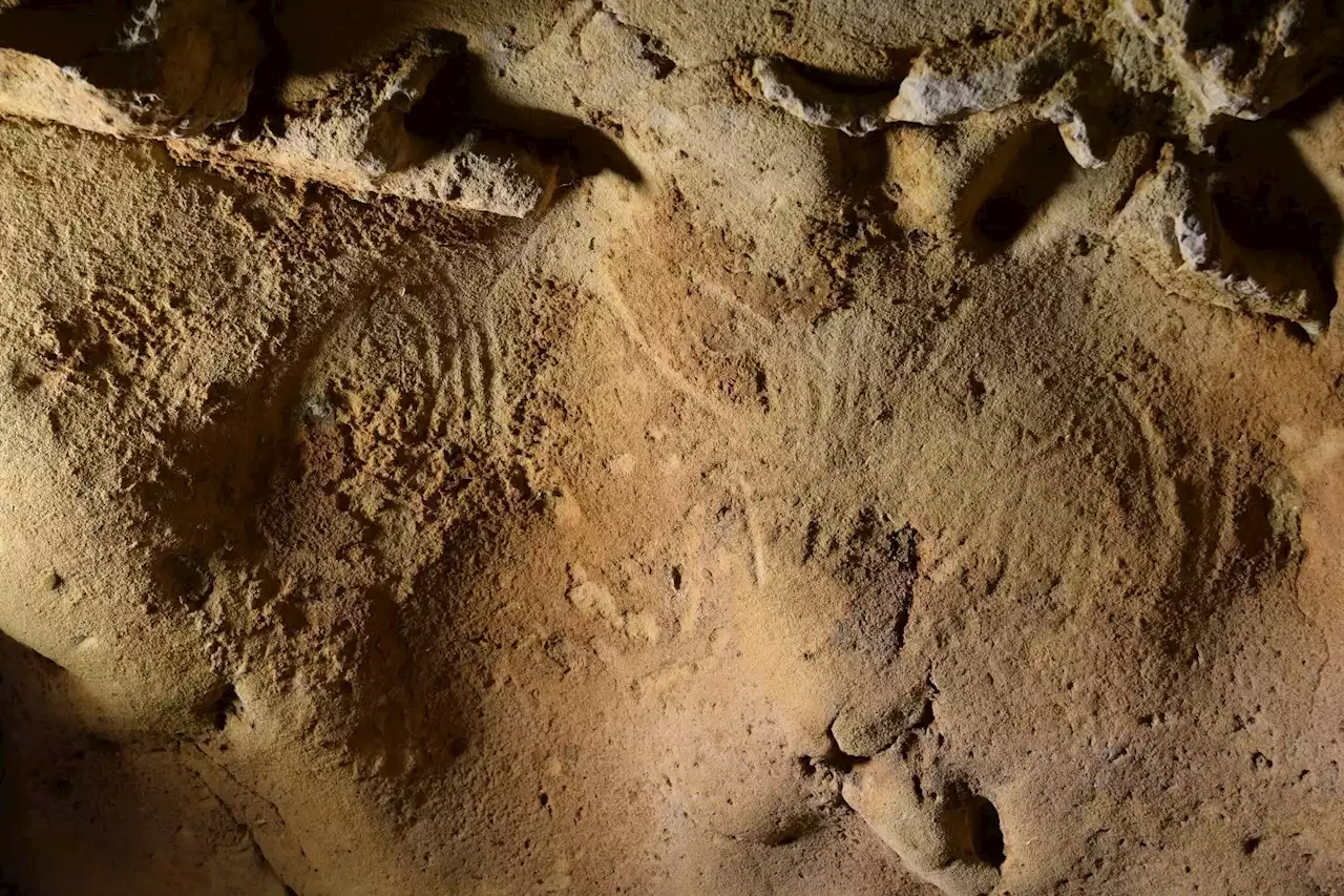 Forskere finder neandertaler-graveringer, der er over 57.000 år gamle, i fransk grotte