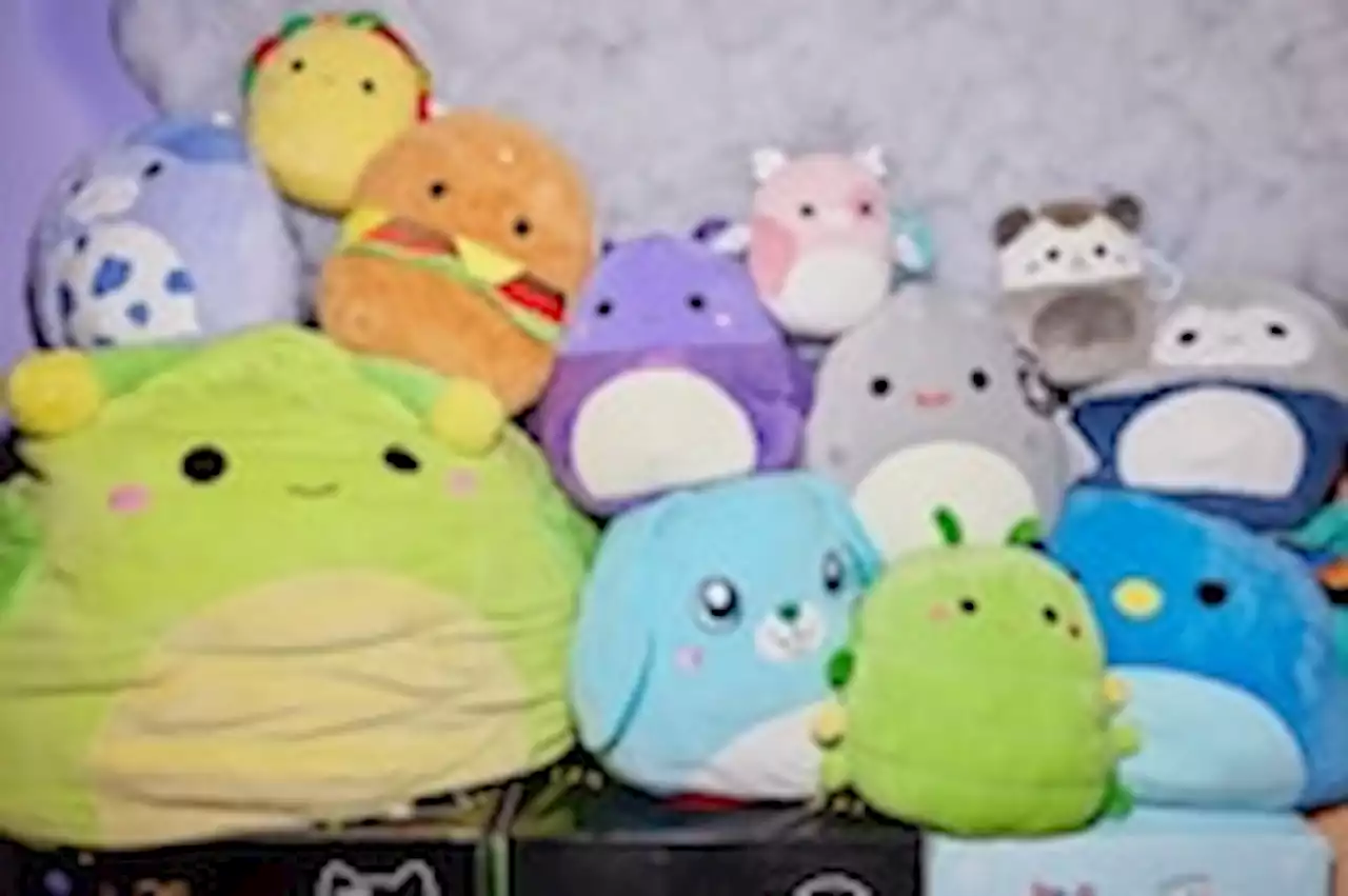 Adults are driving sales of the hottest toy on the market: Squishmallows