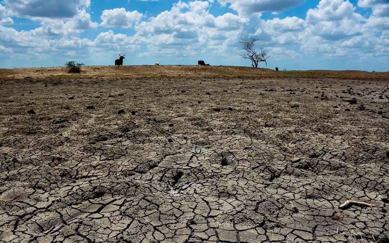 Sader estimulará lluvias en 10 regiones para combatir la sequía