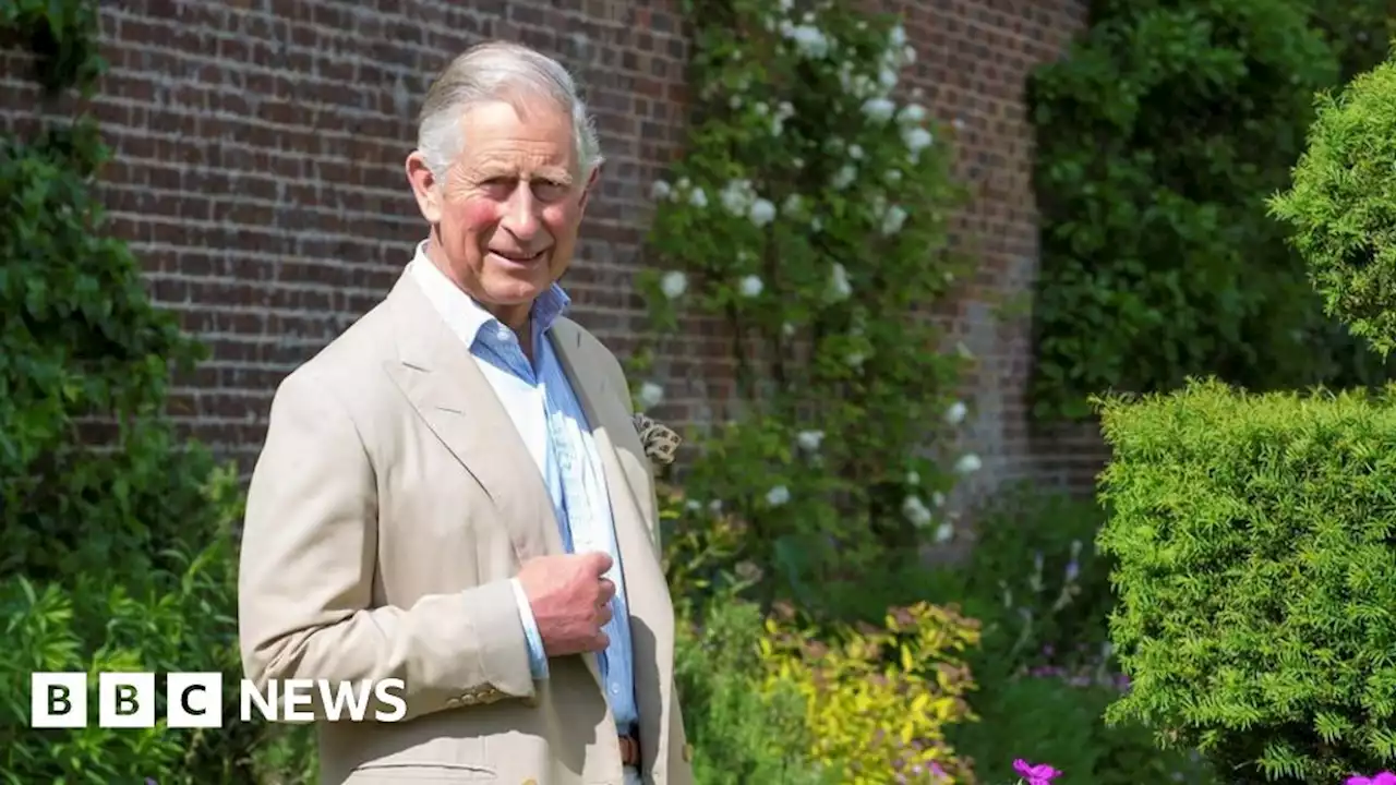 King Charles plans new greenhouse for Highgrove