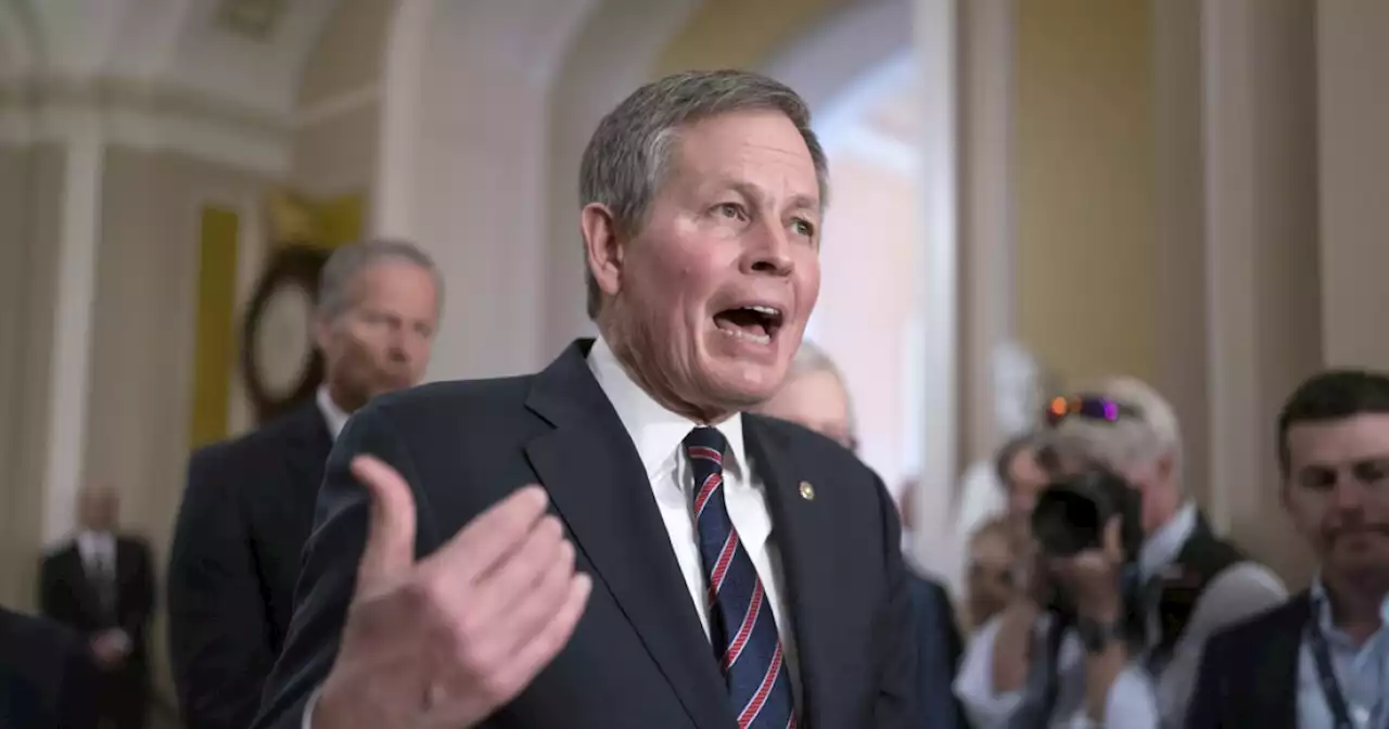 Steve Daines offers Tim Sheehy early Senate endorsement as part of new GOP election strategy