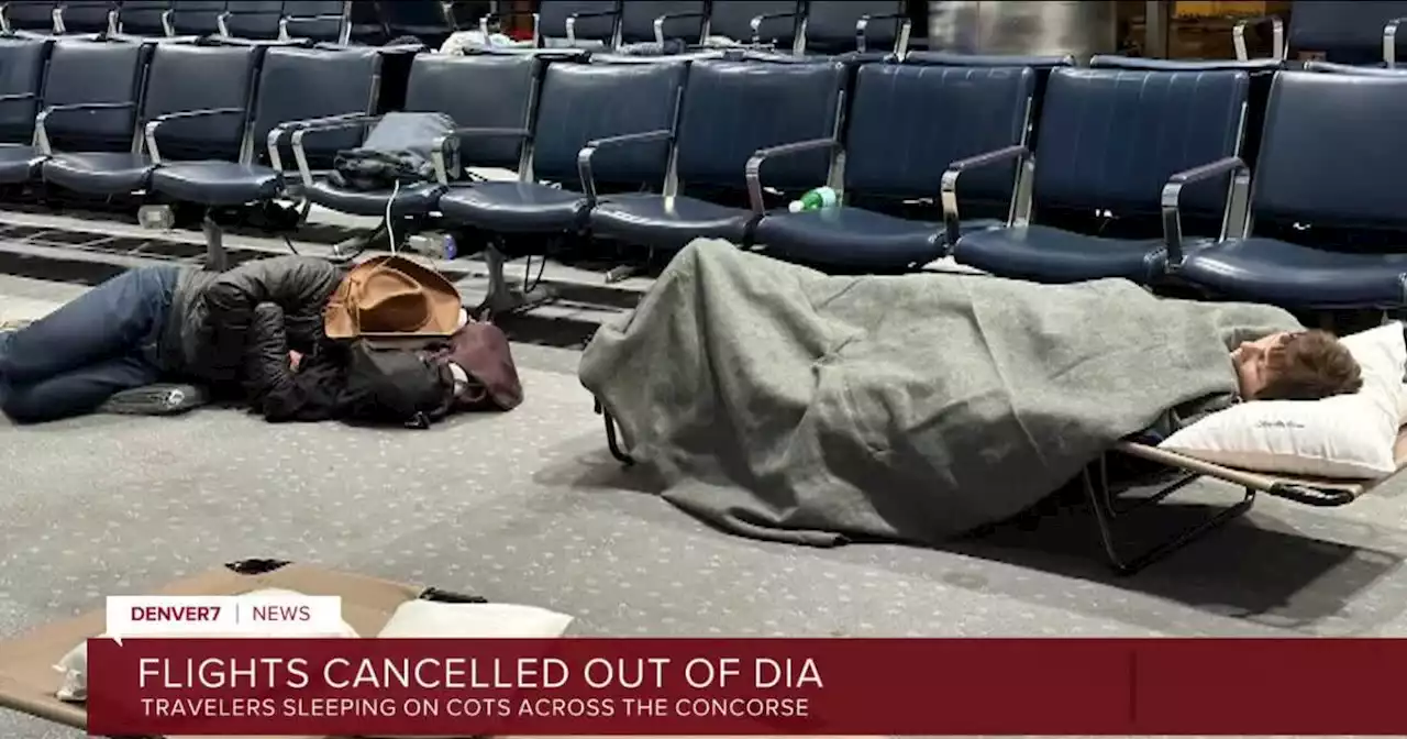 Stranded passengers sleep on cots at DIA Tuesday morning