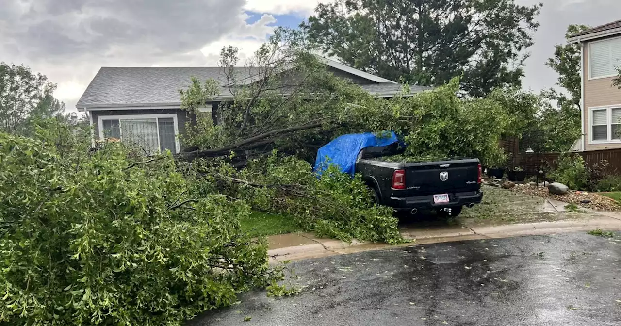 Where to drop off tree branches, debris from Thursday's tornado and storm