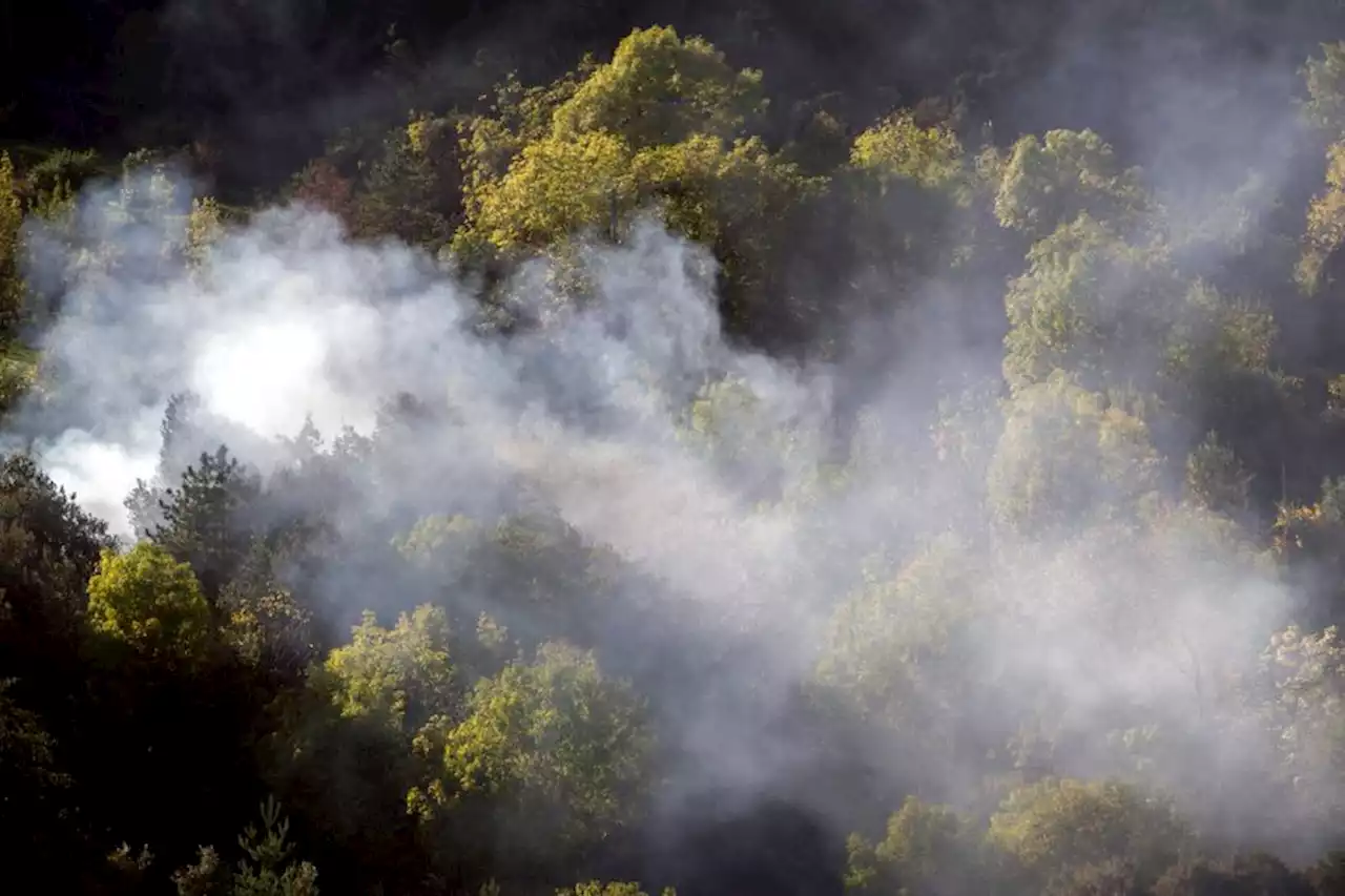 Incendie : un feu de garrigue démarre près d'un terrain de motocross dans l'Hérault