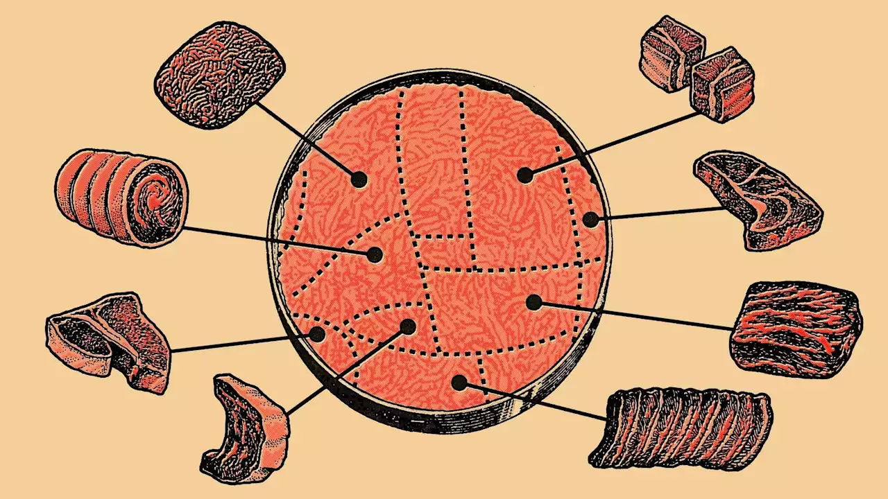 Everything You Need To Know About Lab-Grown Meat Now That It’s Here