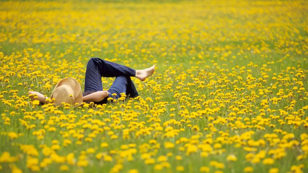 Spend a little less time weeding to boost biodiversity