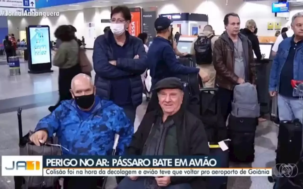 Avião com músicos e técnicos de Roberto Carlos faz pouso após acidente com pássaro; saiba mais | Celebridades | O Dia