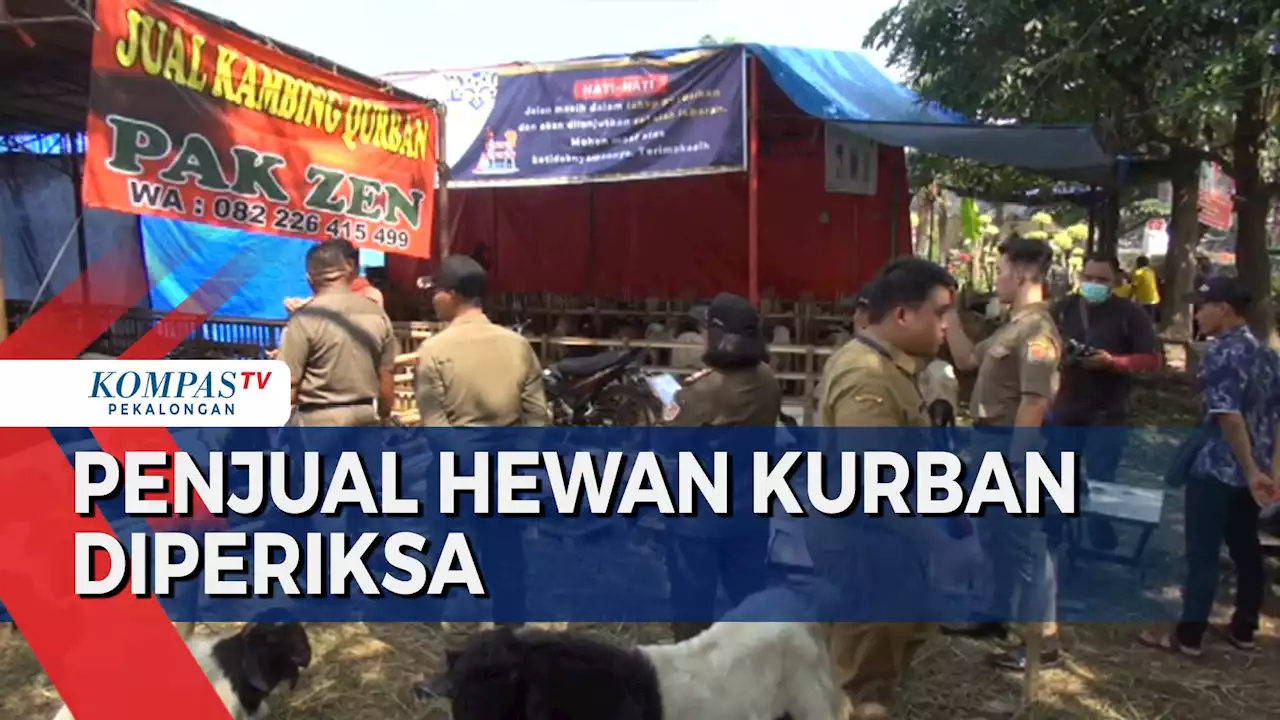 Pengecekan Hewan Kurban oleh Satpol PP dan Petugas Kesehatan Hewan di Semarang