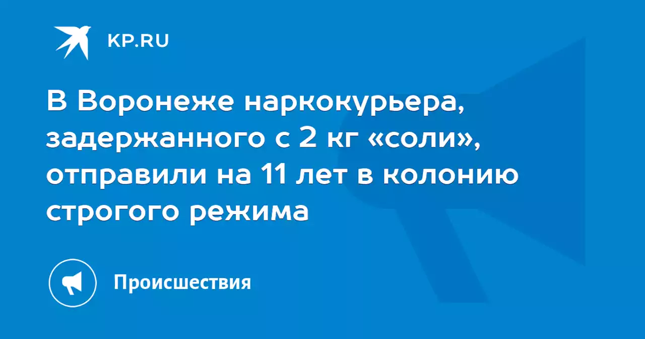 В Воронеже наркокурьера, задержанного с 2 кг «соли», отправили на 11 лет в колонию строгого режима