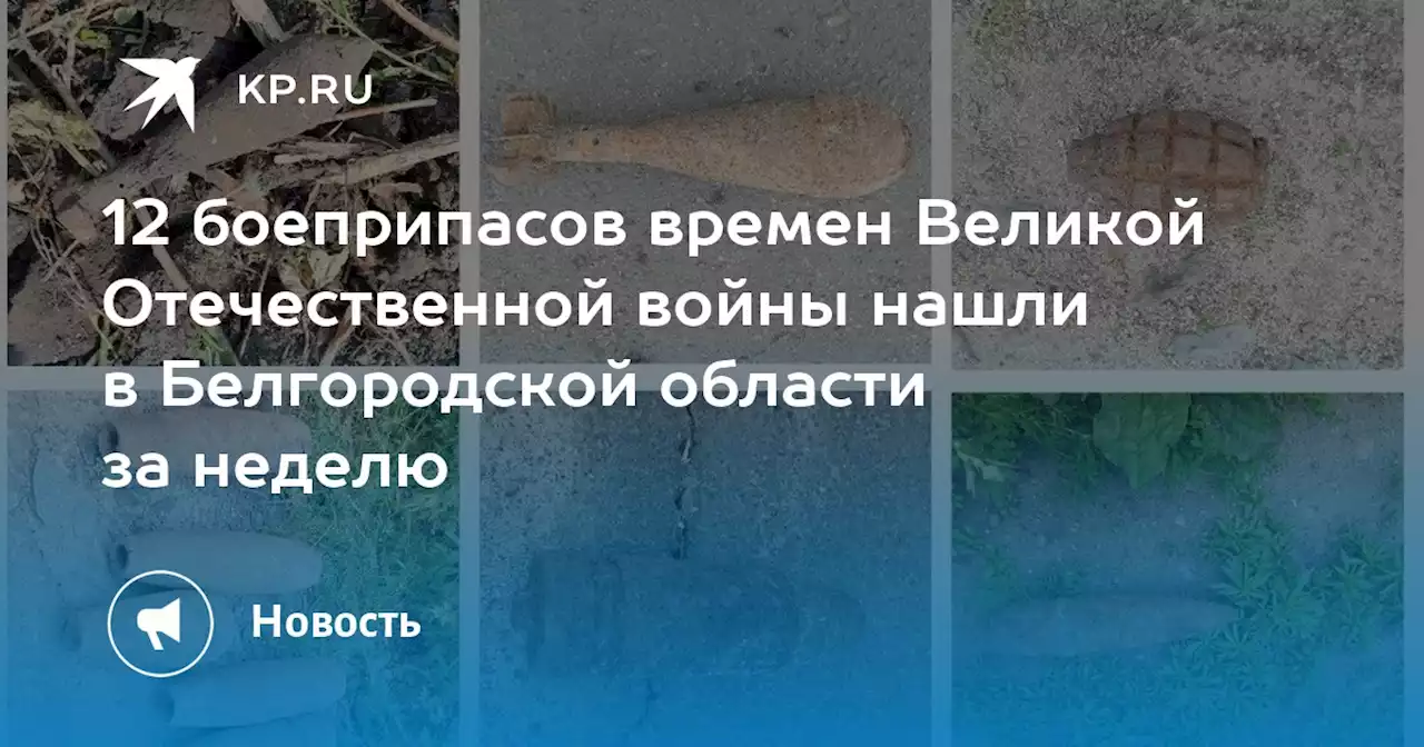 12 боеприпасов времен Великой Отечественной войны нашли в Белгородской области за неделю