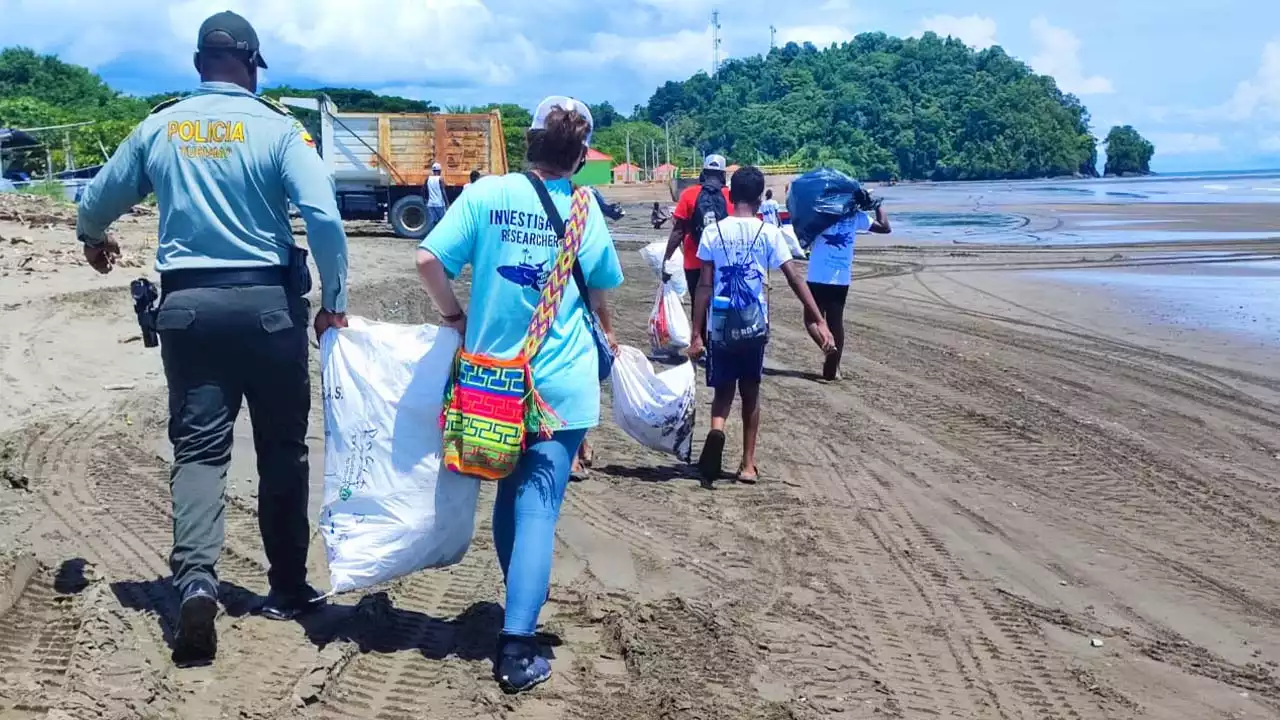 Video. Jornada de limpieza en las playas de Nuquí, se recolectó 350 kilos de residuos