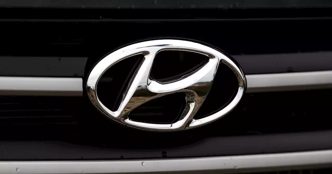 Feds decline to recall vulnerable Hyundai and Kia vehicles despite nationwide theft spree