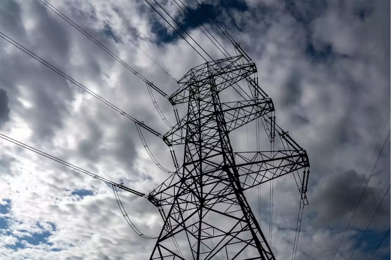 No more 'first come, first served' as Eskom issues new rules for grid access | Business