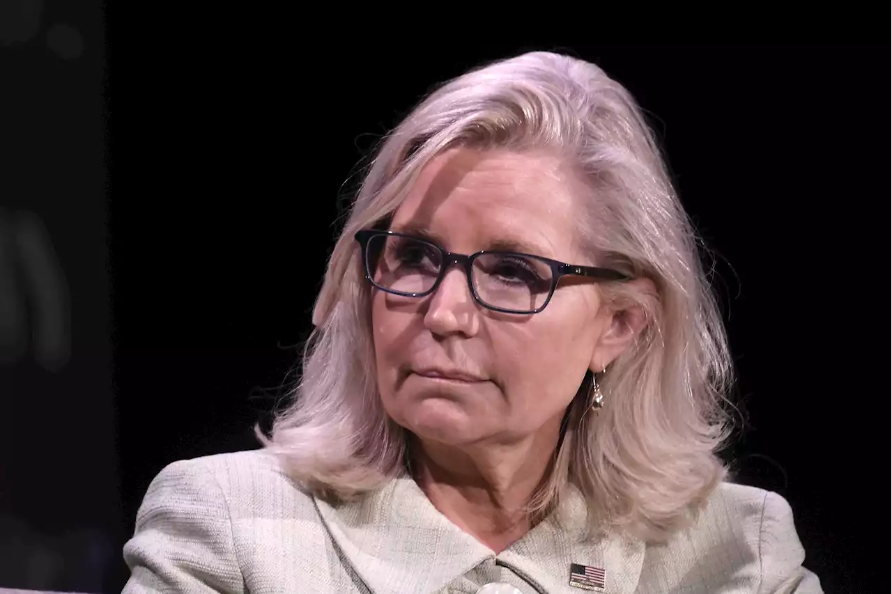 Liz Cheney urges voters to stop 'electing idiots'