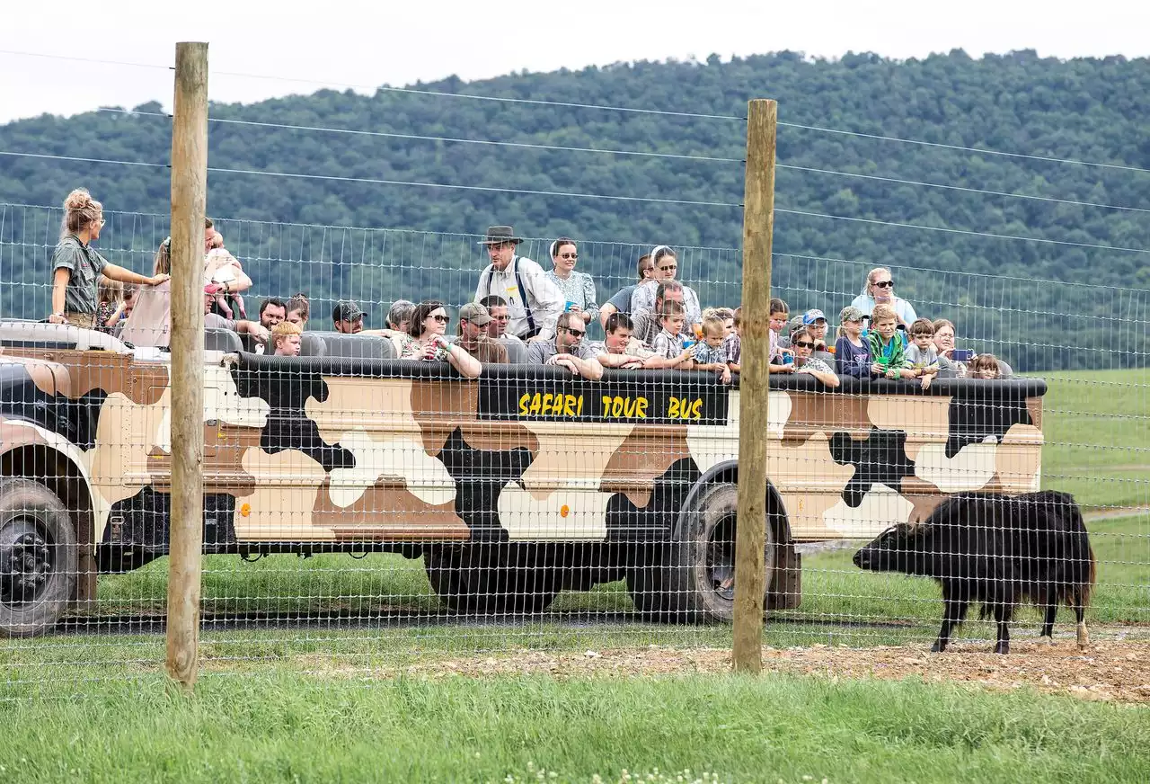 Lake Tobias park employee gored by bison during safari tour bus ride