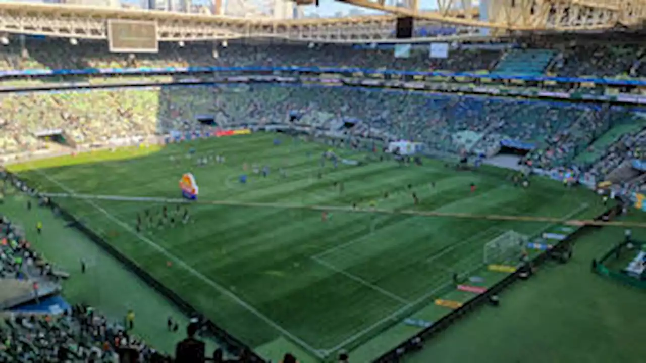 Palmeiras oferece 'Parque Mirante' para torcedor 'viver mais do que os 90 minutos'