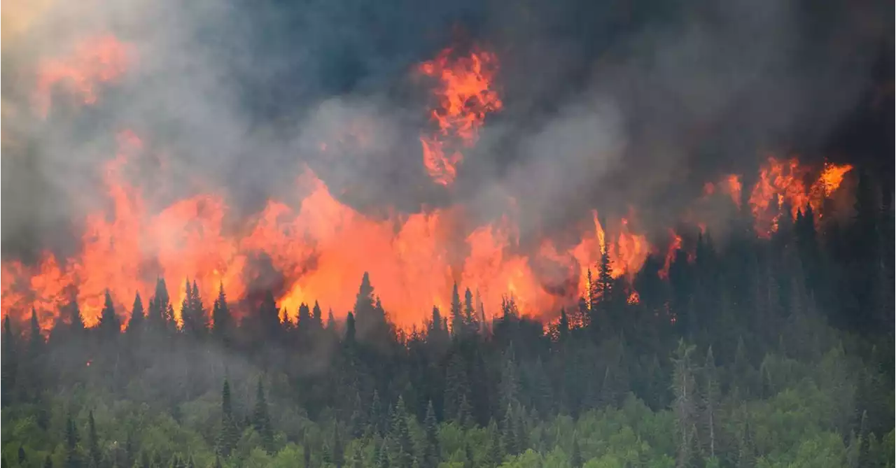 Canadian wildfire emissions hit record high as smoke reaches Europe