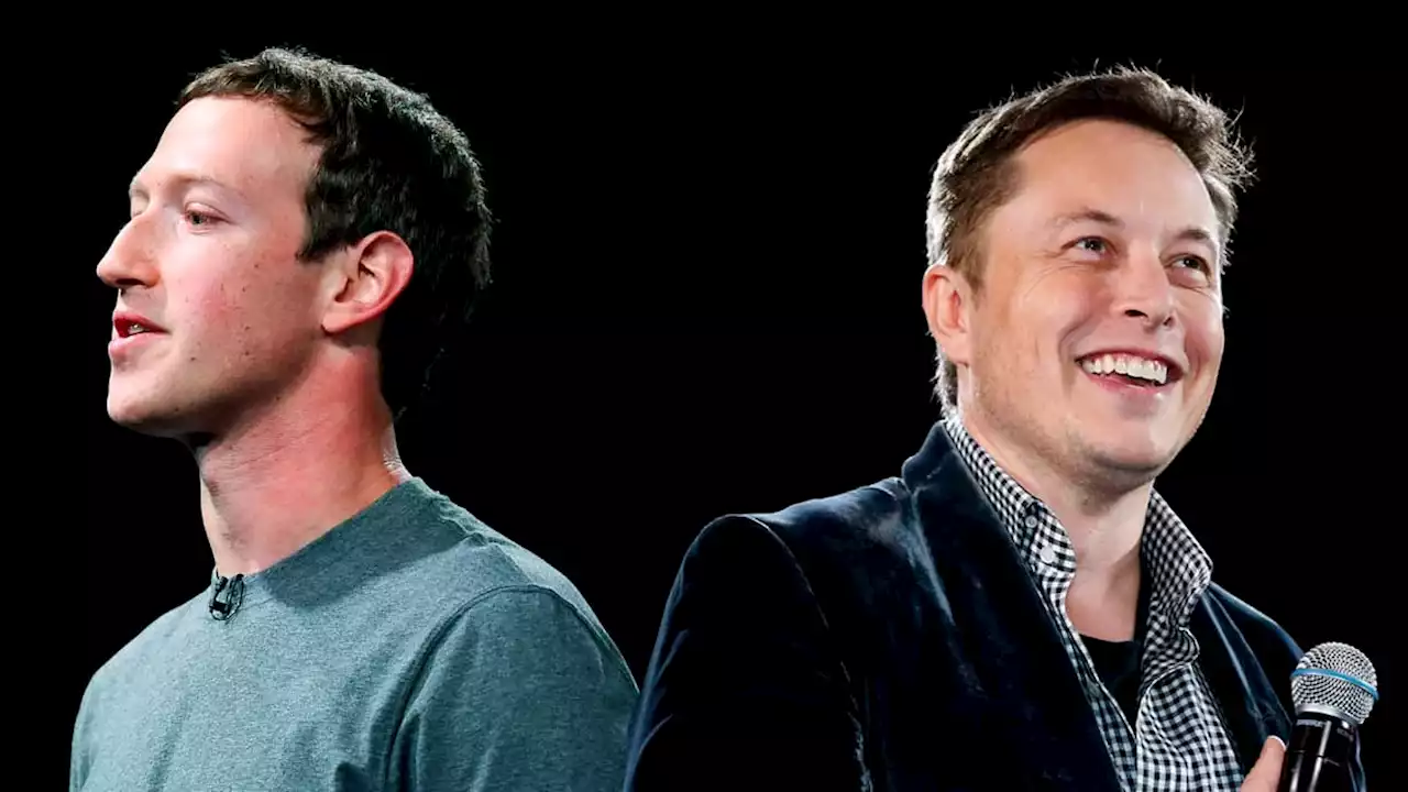 MMA: Elon Musk accepte la proposition de Georges Saint-Pierre pour s'entraîner avant son 'combat' contre Mark Zuckerberg