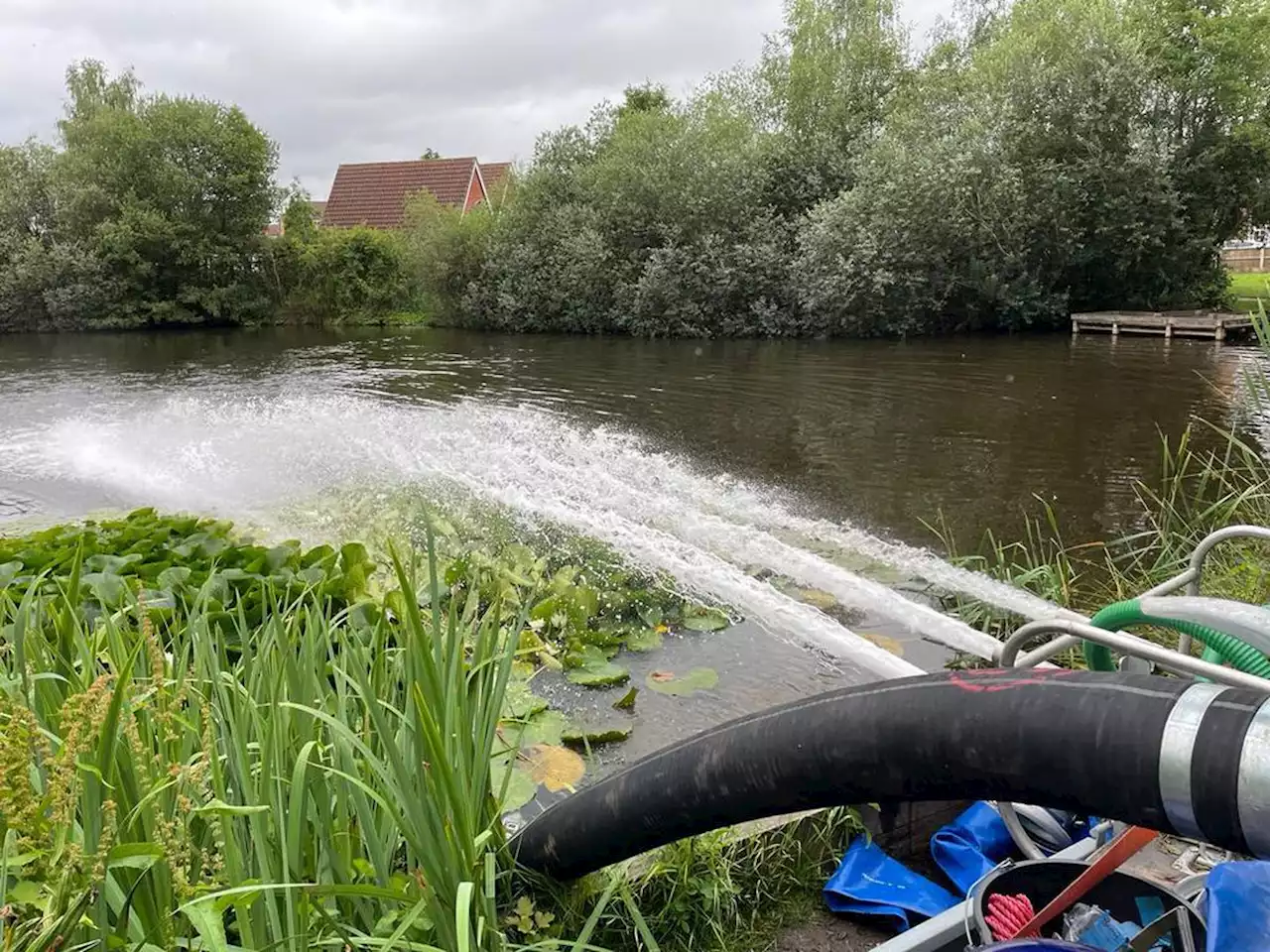 Environment Agency steps in after 'thousands' of fish 'in distress' in Shrewsbury pool