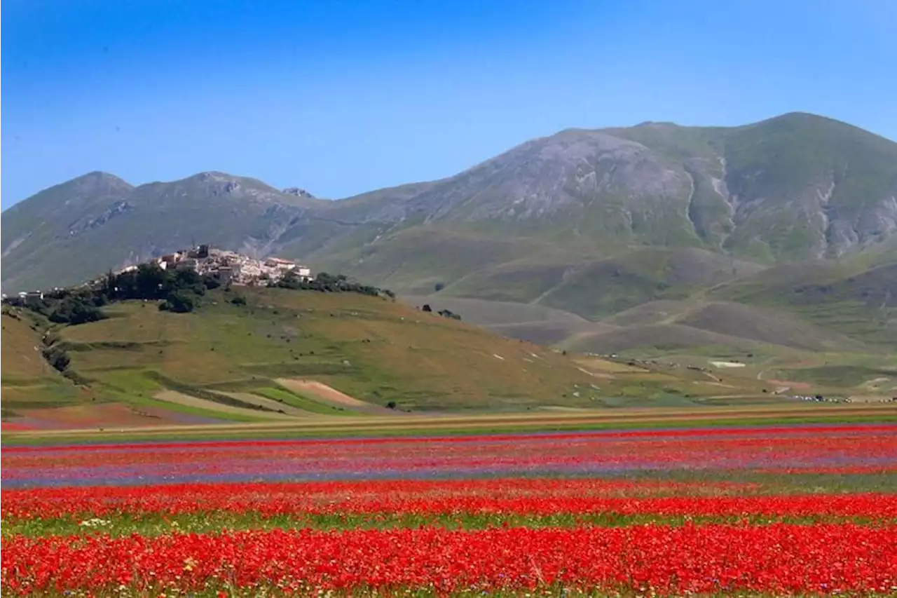 Brunello Cucinelli: «Così ricostruiremo Castelluccio di Norcia»